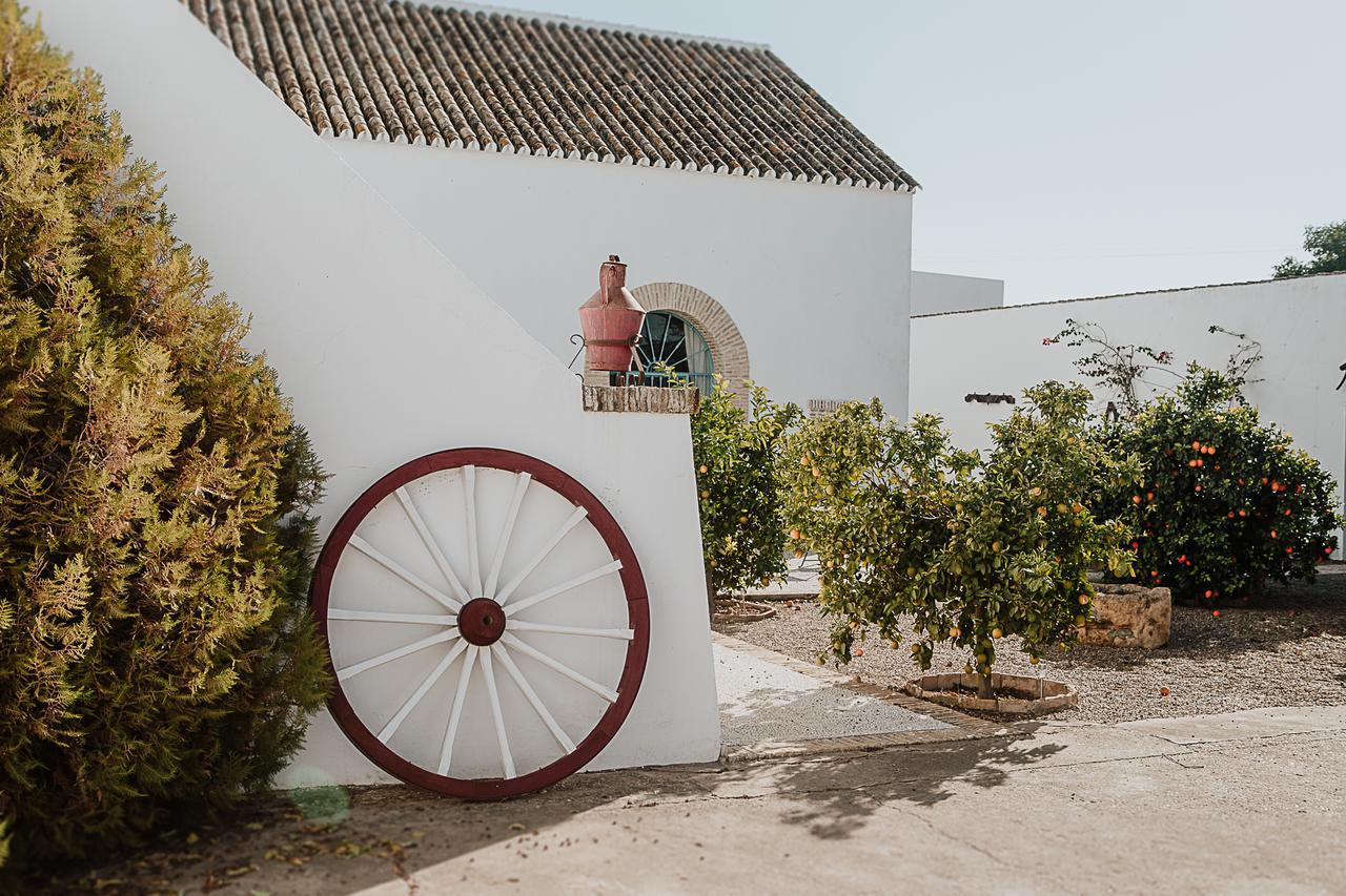 Вилла Cortijo Santa Clara Кармона Экстерьер фото